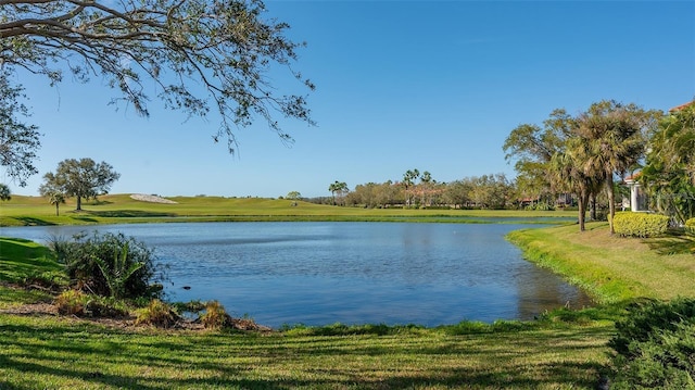 property view of water