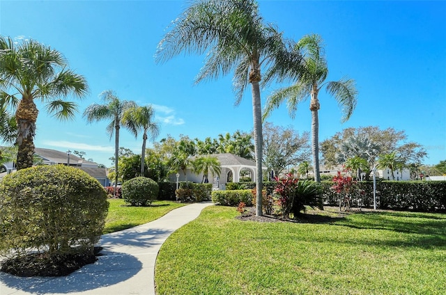 view of home's community with a yard