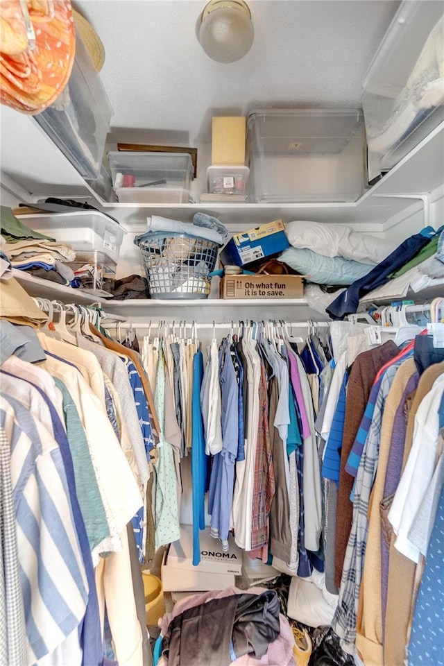 view of spacious closet