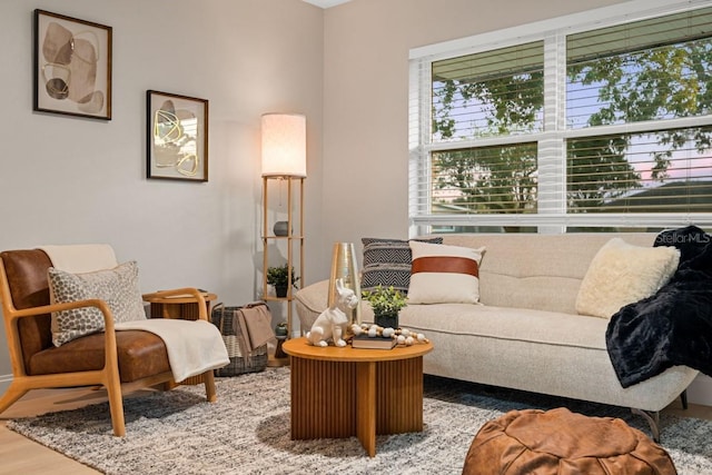 living room with wood finished floors