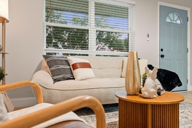 living area featuring wood finished floors