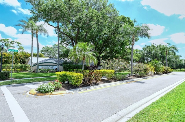 view of road with curbs