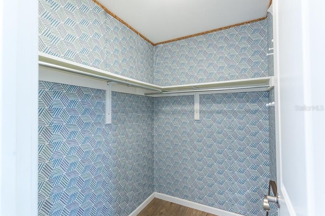 411 S Oxford Dr Unit 411, Nokomis, FL 34275 - walk in closet with wood finished floors