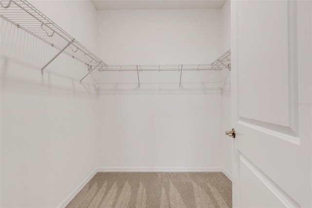 walk in closet with light carpet