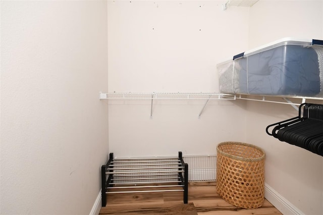 spacious closet featuring wood finished floors