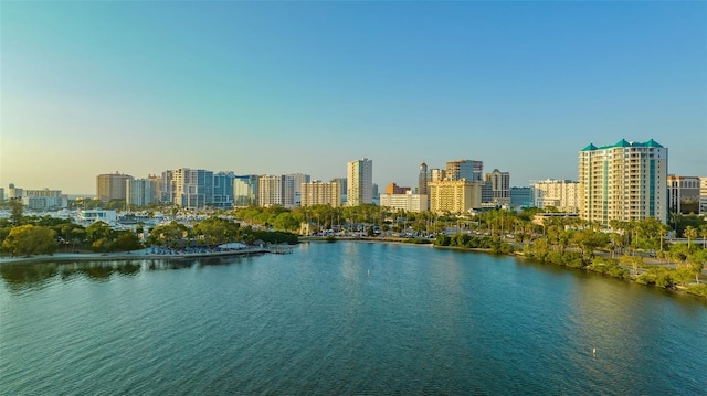 view of water feature with a city view