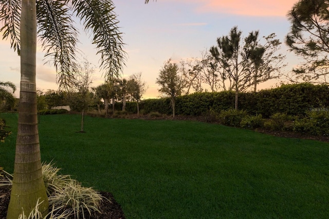 view of yard at dusk