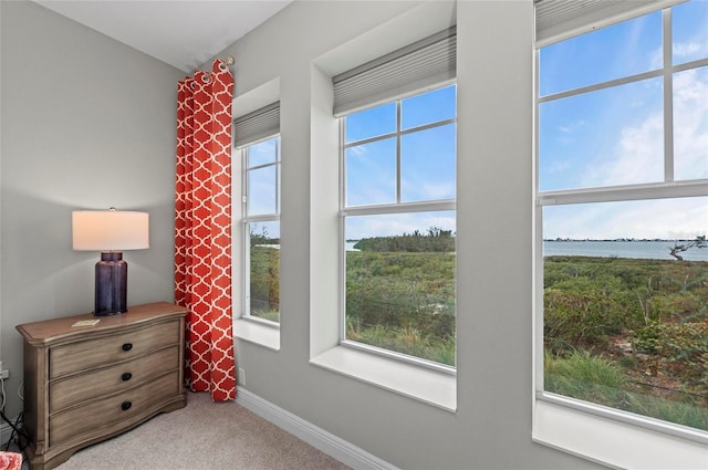 bedroom featuring baseboards, carpet, and a water view