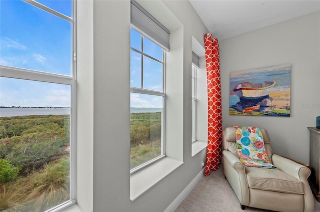 sitting room with baseboards, plenty of natural light, and carpet flooring