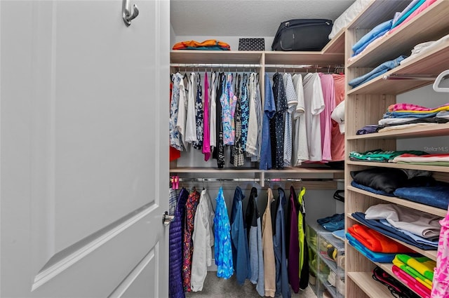 walk in closet with carpet flooring