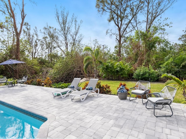 pool with a patio area and a lawn