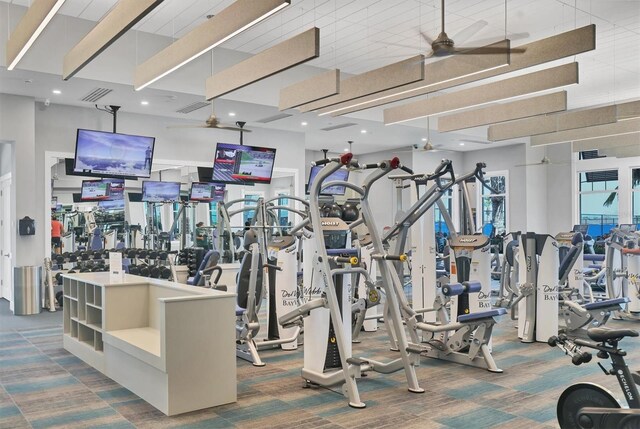 workout area with carpet flooring, a ceiling fan, and visible vents