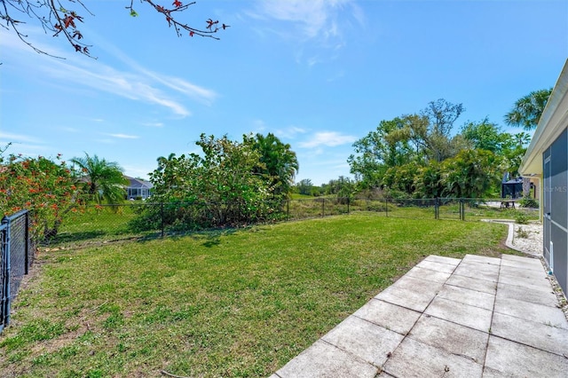 view of yard with a patio and a fenced backyard