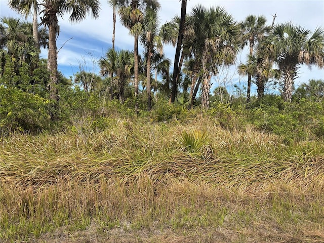 Melissa Ter N, North Port FL, 34286 land for sale