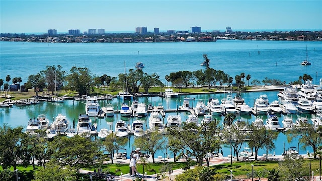 property view of water featuring a view of city