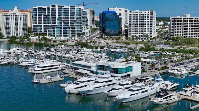 bird's eye view featuring a water view and a view of city