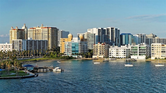 view of water feature with a city view