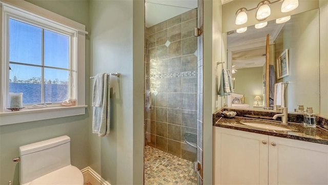 full bathroom featuring a shower stall, toilet, and vanity