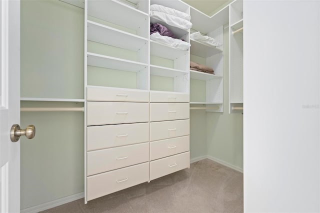 spacious closet with carpet flooring