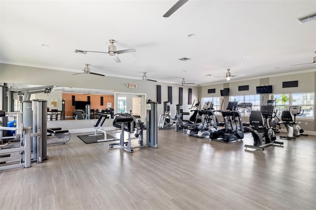 1009 3rd St E, Palmetto, FL 34221 - gym with a ceiling fan, plenty of natural light, light wood finished floors, and crown molding