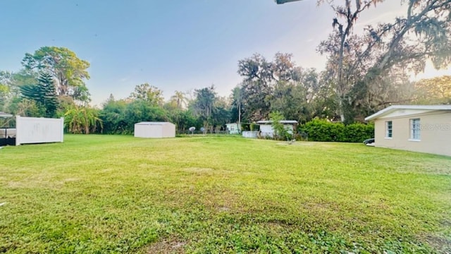 view of yard featuring an outbuilding and a storage unit