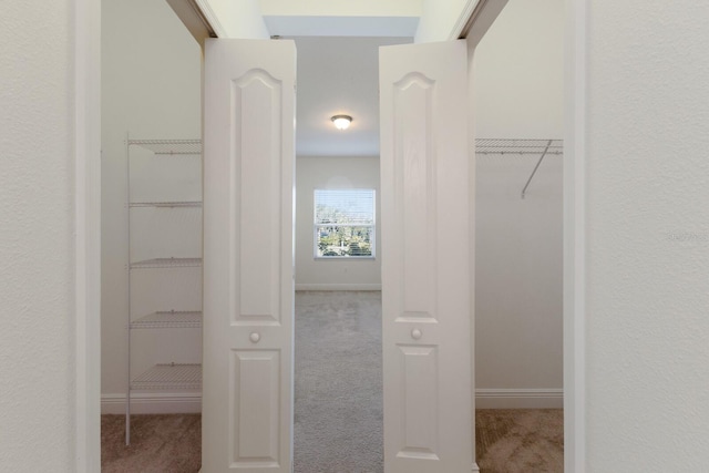 walk in closet featuring carpet