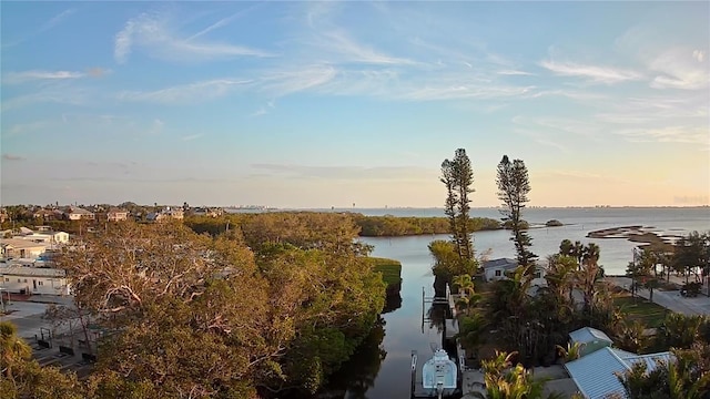 property view of water