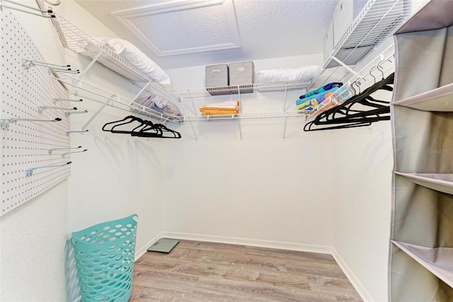 spacious closet with attic access and light wood finished floors