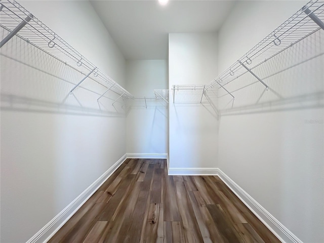 spacious closet with dark wood finished floors