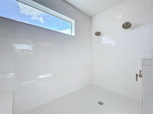 10006 Degas Ter, Bradenton, FL 34212 - full bathroom with tiled shower