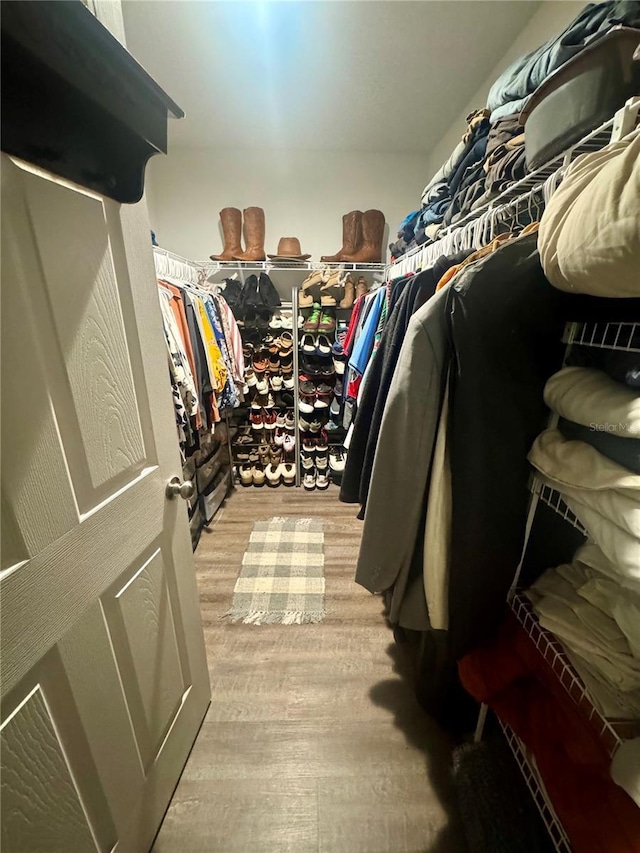 spacious closet featuring light wood finished floors