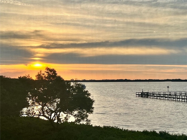 water view featuring a boat dock