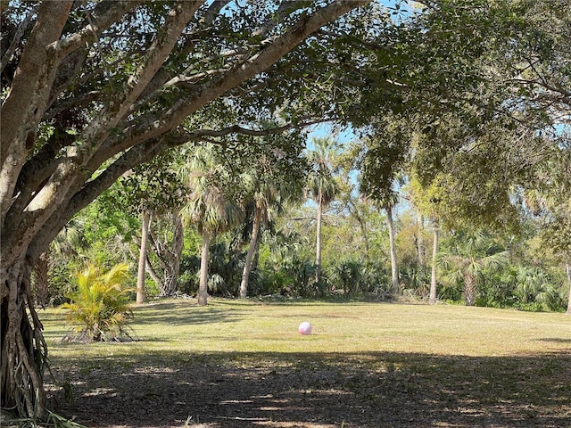 5013 Village Gardens Dr Unit 34, Sarasota, FL 34234 - view of property's community featuring a yard