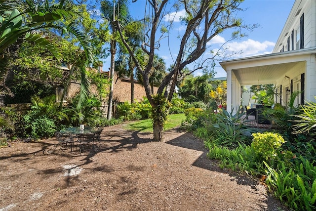 view of yard with outdoor dining area and a patio