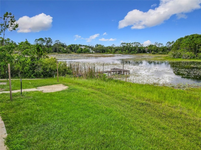 318 Mitnik Dr, Deltona, FL 32738 - photo 53