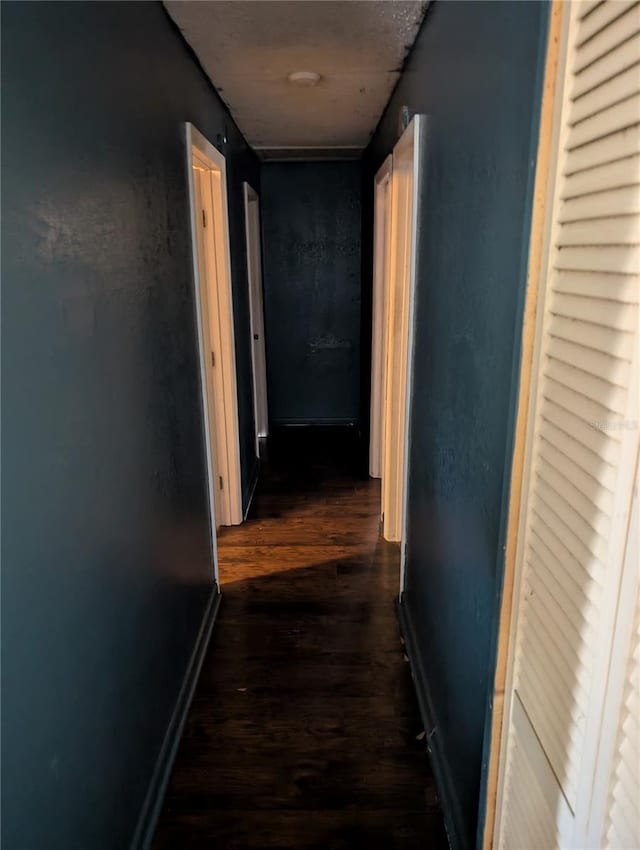 5195 Edwina St, Orlando, FL 32811 - hall with dark wood finished floors and baseboards