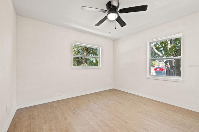 6639 16th St N, Saint Petersburg, FL 33702 - unfurnished room with baseboards, a ceiling fan, and light wood finished floors