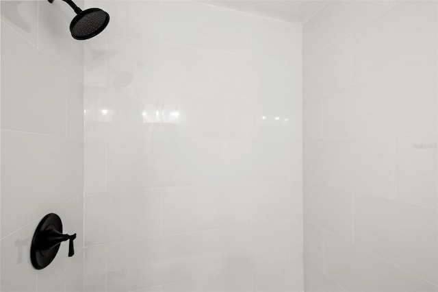 6639 16th St N, Saint Petersburg, FL 33702 - room details featuring tiled shower