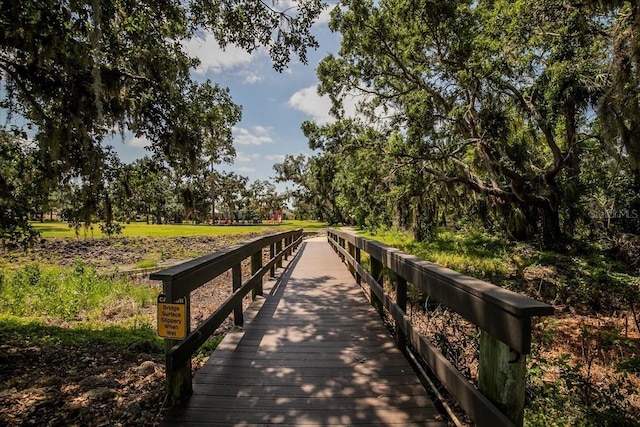 11790 Fennemore Way, Parrish, FL 34219 - view of home's community