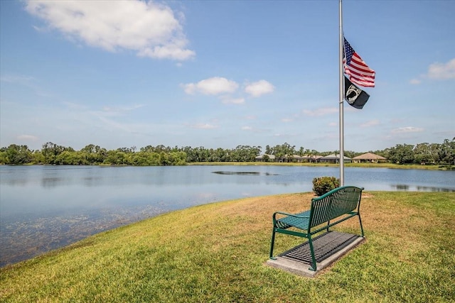 11790 Fennemore Way, Parrish, FL 34219 - water view