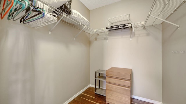 5630 Golf Pointe Dr Unit 205, Sarasota, FL 34243 - walk in closet with dark wood-style flooring