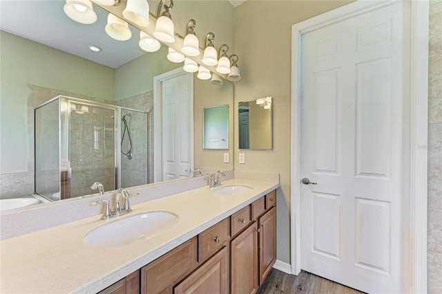 bathroom featuring a sink, double vanity, wood finished floors, and a shower stall