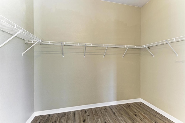 walk in closet with wood finished floors