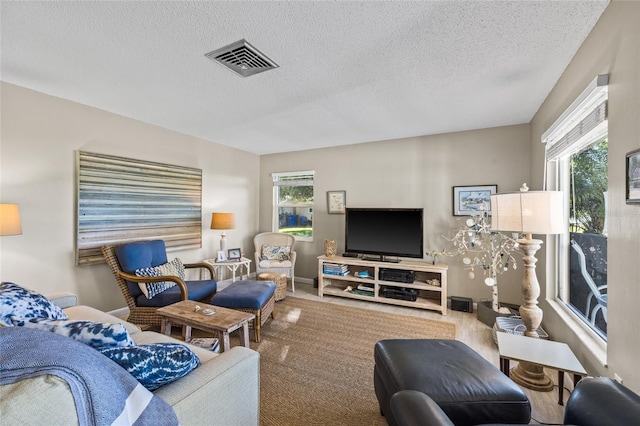 7122 11th Ave W, Bradenton, FL 34209 - living area with baseboards, visible vents, a wealth of natural light, and a textured ceiling