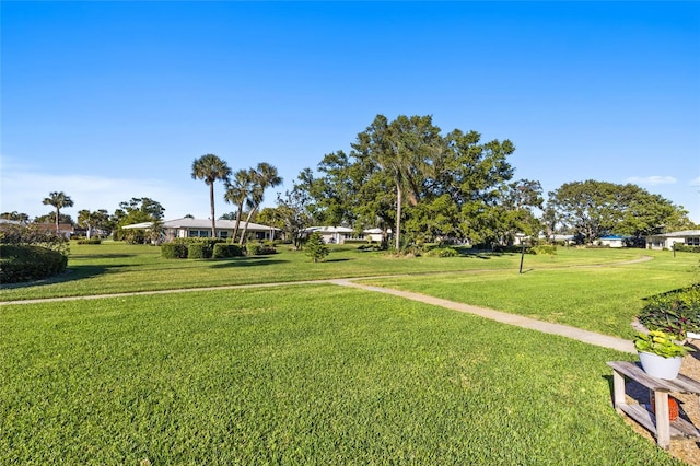 7122 11th Ave W, Bradenton, FL 34209 - view of yard