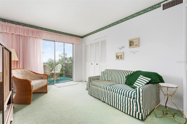 4440 Ironwood Cir Unit 509D, Bradenton, FL 34209 - view of carpeted living room
