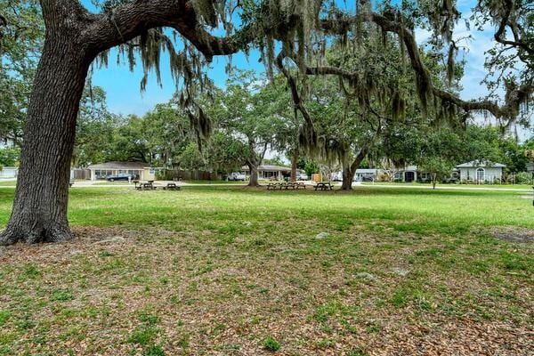 4560 Brooksdale Dr, Sarasota, FL 34232 - view of yard
