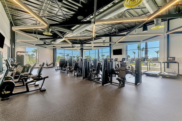 workout area featuring a healthy amount of sunlight