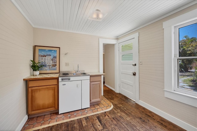 kitchen with a healthy amount of sunlight, a sink, and dark wood finished floors