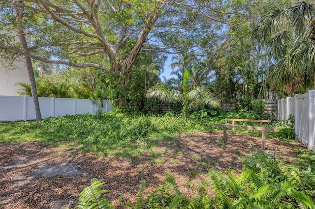 view of yard featuring a fenced backyard